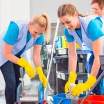 Professional Cleaning Service