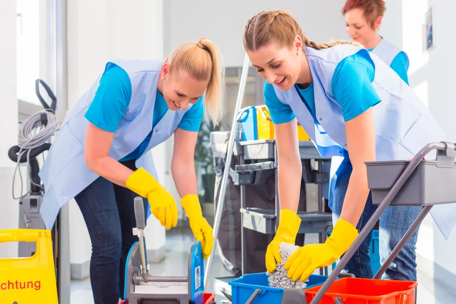 Professional Cleaning Service
