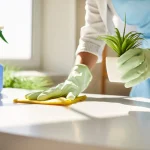 Professional Cleaning