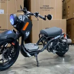 Maddog 50cc